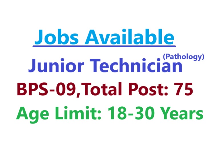 Job Opportunity for Junior Technician (Pathology)